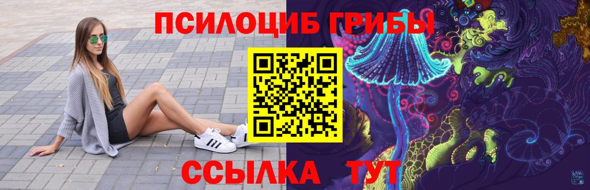 Сегежа  Псилоцибиновые грибы MAGIC MUSHROOMS  Вход с VPN  Галлюциногенные грибы прущие грибы 